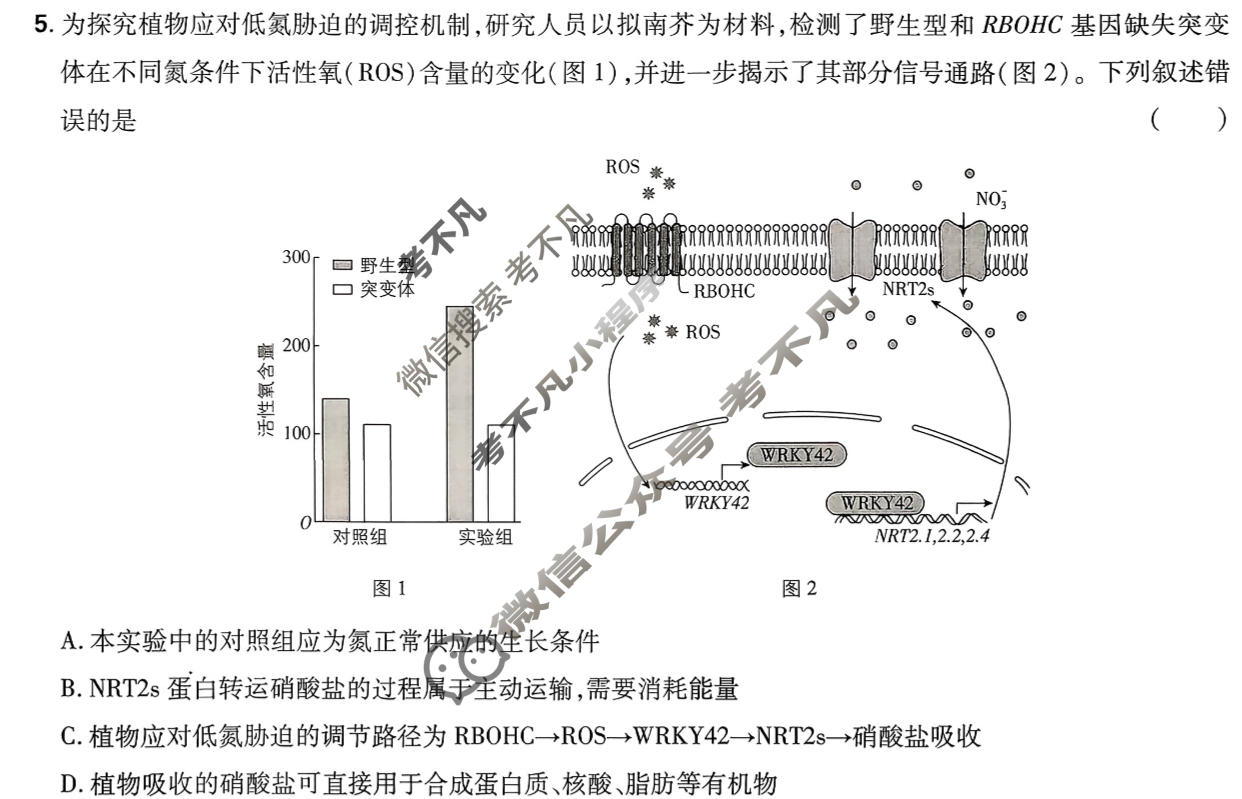 高考必刷卷 2026高三临考冲刺卷(卷6)生物试题