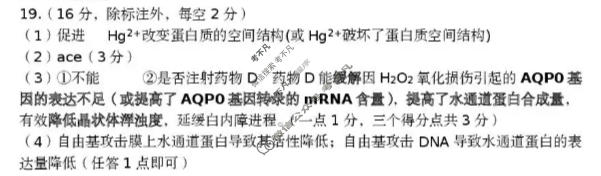 黄冈市2026年3月高三年级模拟考试生物答案