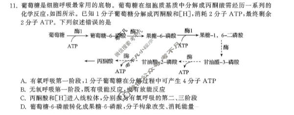 [天舟益考衡中同卷]2026年普通高中学业水平选择性考试模拟调研卷(一)1·生物DS试题