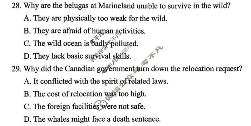 辽阳市2026年普通高中高三年级第一次模拟考试(3月)英语试题