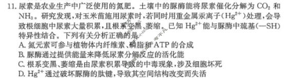 2026年福建省普通高中学业水平选择性考试高考模拟示范卷·生物学(六)6[26·(新高考)ZX·MNJ·生物学·FJ]试题