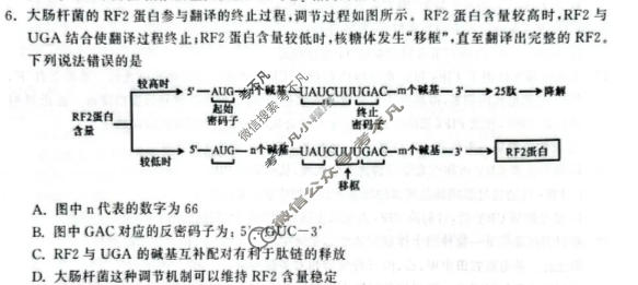 潍坊市2026届高三年级3月学习质量综合评估生物试题
