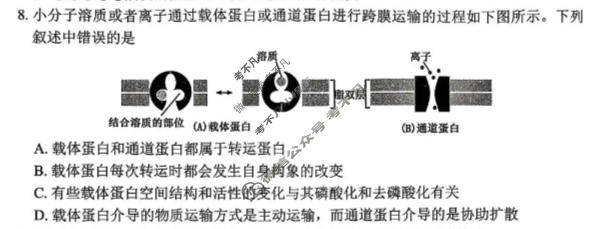 辽阳市2026年普通高中高三年级第一次模拟考试(3月)生物试题