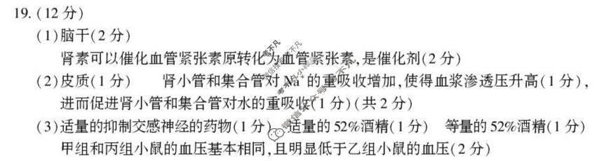 2026年邵阳市高三第二次联考生物答案