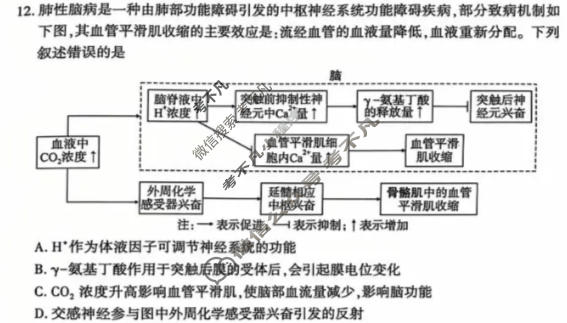 恩施州2026届高三第二次质量监测考试生物试题