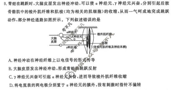 [青桐鸣]2025-2026学年下学期高三学情调研(一)1生物试题