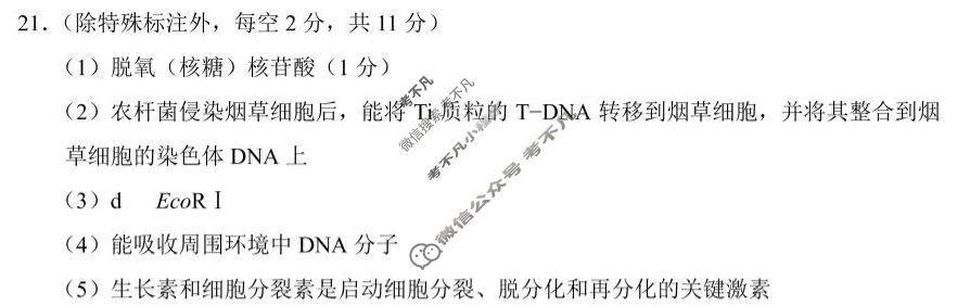 西南名校联盟高三2026届下学期3月联考(黑白白黑白白黑白白黑白黑)生物答案