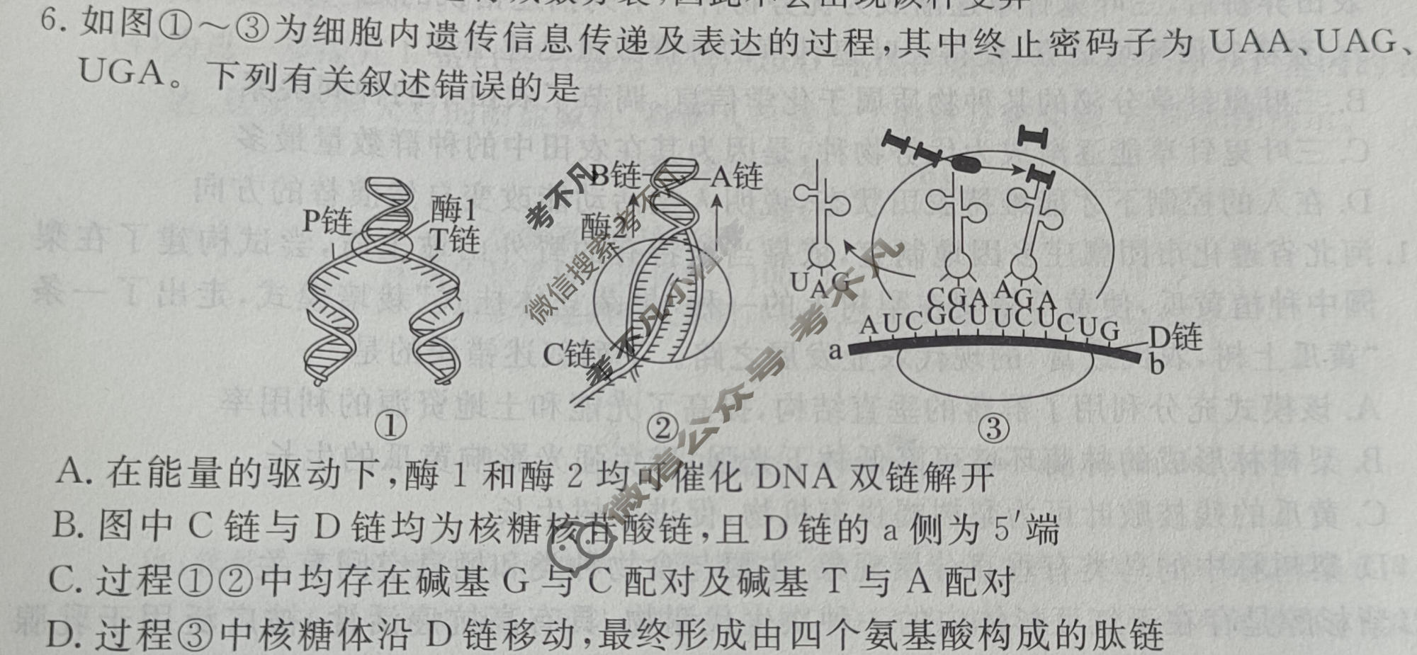 [启光教育]高三2026年普通高等学校招生全国统一模拟考试(一)(2026.3)生物试题