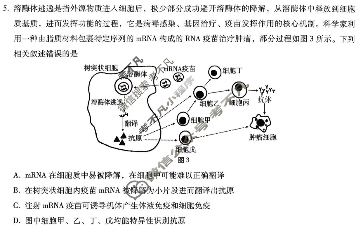 巴蜀中学2026届高三适应性月考(七)(黑黑黑白白黑白白)生物试题
