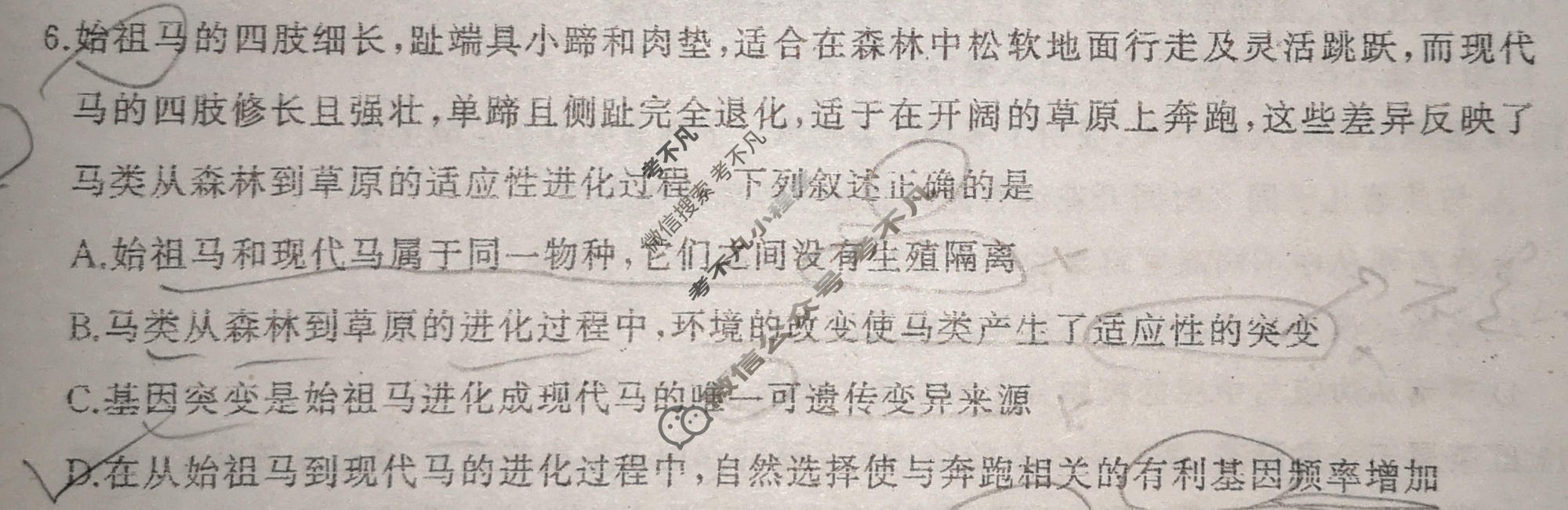 [百师联盟]2026届高三开年大联考生物(百X)试题