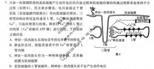 重庆八中2025-2026学年高三3月适应性月考(六)(黑黑白黑黑白黑黑)生物试题