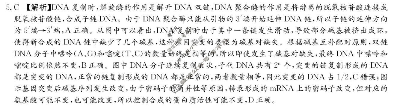 炎德英才大联考(H7)雅礼中学2026届高三月考试卷(七)7生物答案