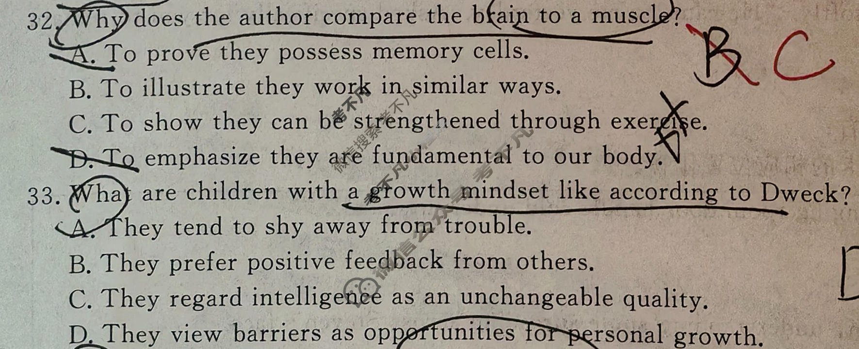 [辽宁省名校联盟]2026年高考模拟卷(调研卷)(三)3英语试题