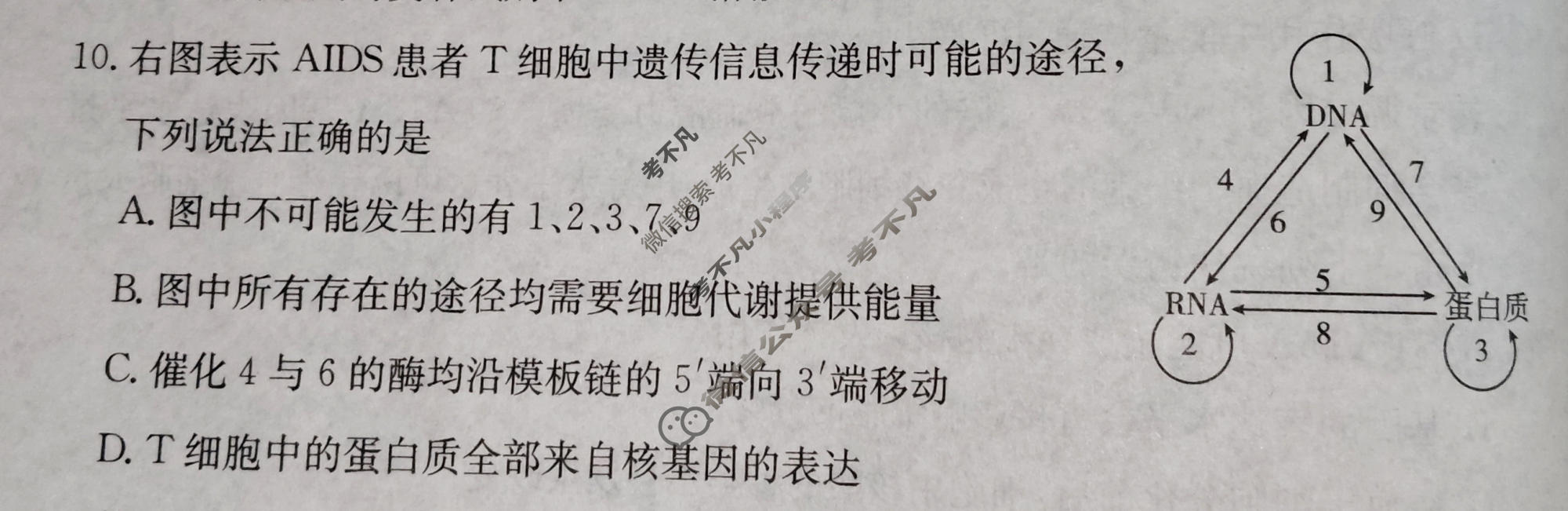 2026年广西普通高中学业水平选择性考试高考模拟示范卷·生物学(三)3[26·(新高考)ZX·MNJ·生物学·GX]试题