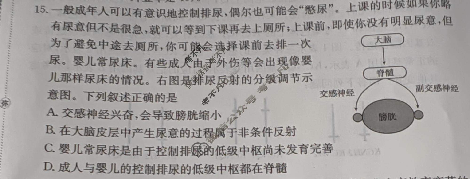 2026年甘肃省普通高校招生统一考试高考模拟示范卷·生物学(四)4[26·(新高考)·MNJ·生物学·GS]试题