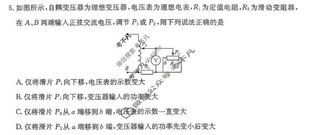 商洛市2026年高三第一次模拟考试物理试题