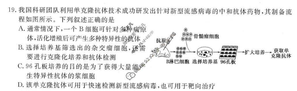 [点石联考]2026届高三年级学情调研(3月)生物试题