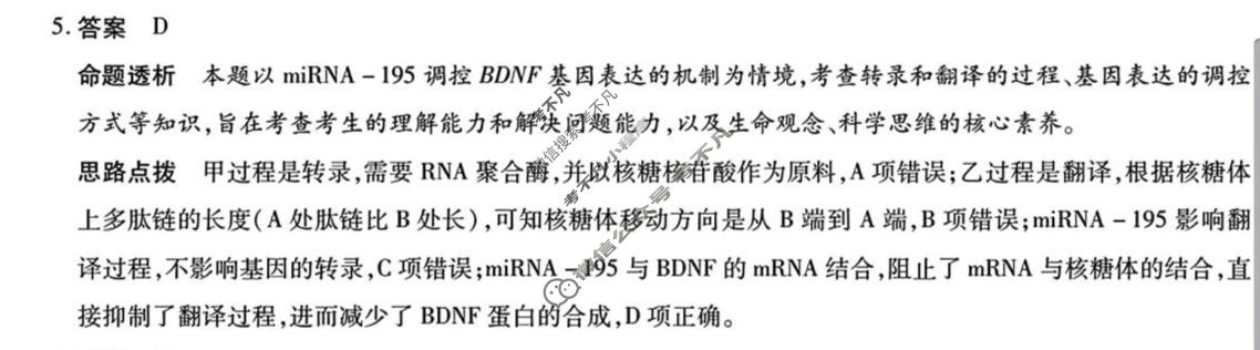 [天一大联考]陕西省2025-2026学年高三联考(SHAX202603)(3.24)生物答案