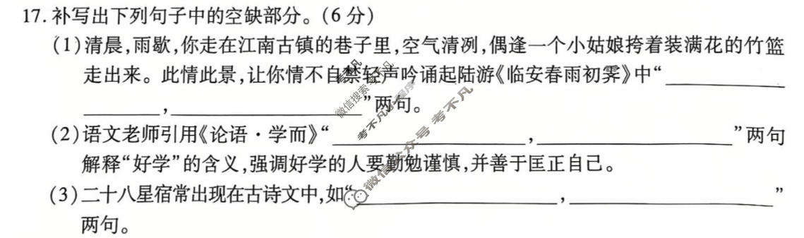 [天一大联考]陕西省2025-2026学年高三联考(SHAX202603)(3.24)语文试题
