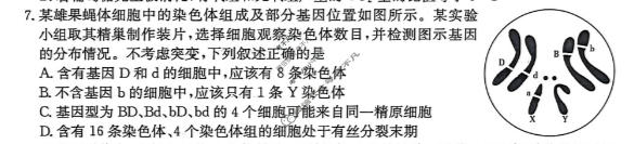 广西2025-2026学年高三3月联考(3.25)生物试题