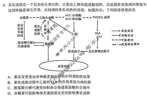 红河州、文山州2026届高中毕业生第三次复习统一检测(3月)生物试题
