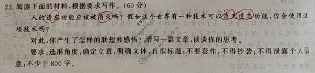 高三2026普通高等学校招生全国统一考试·综合模拟卷(四)4语文X试题