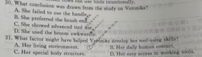 [青桐鸣]2025-2026学年下学期高二内部练(3月)英语试题