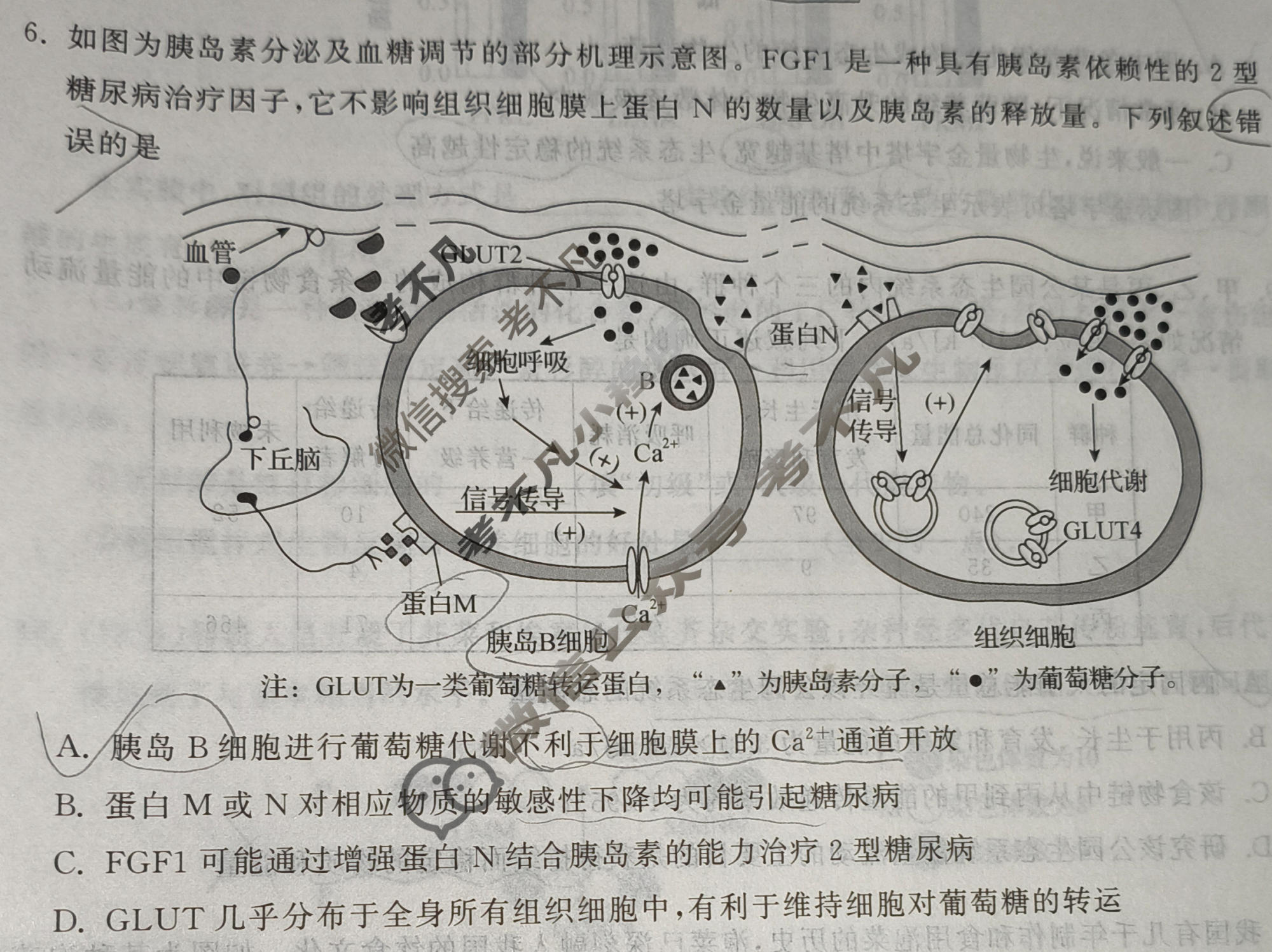 [天舟益考衡中同卷]2026年普通高中学业水平选择性考试模拟信息卷(四)4·生物(JY)试题