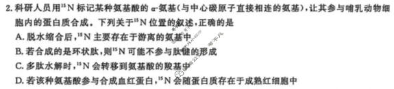 [辽宁省名校联盟]2026年高考模拟卷(信息卷)(四)4生物试题