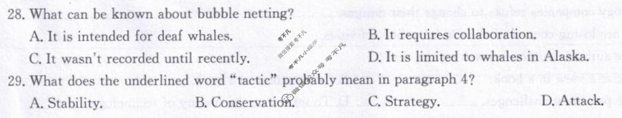 [九师联盟]2026届高三3月30日质量检测英语X试题