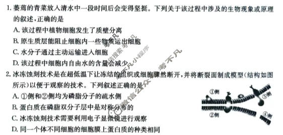 江西省金太阳2025-2026学年高一年级3月学科素养训练生物试题