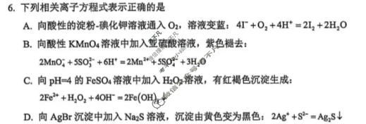 广元市高2026届第二次高考适应性检测化学试题