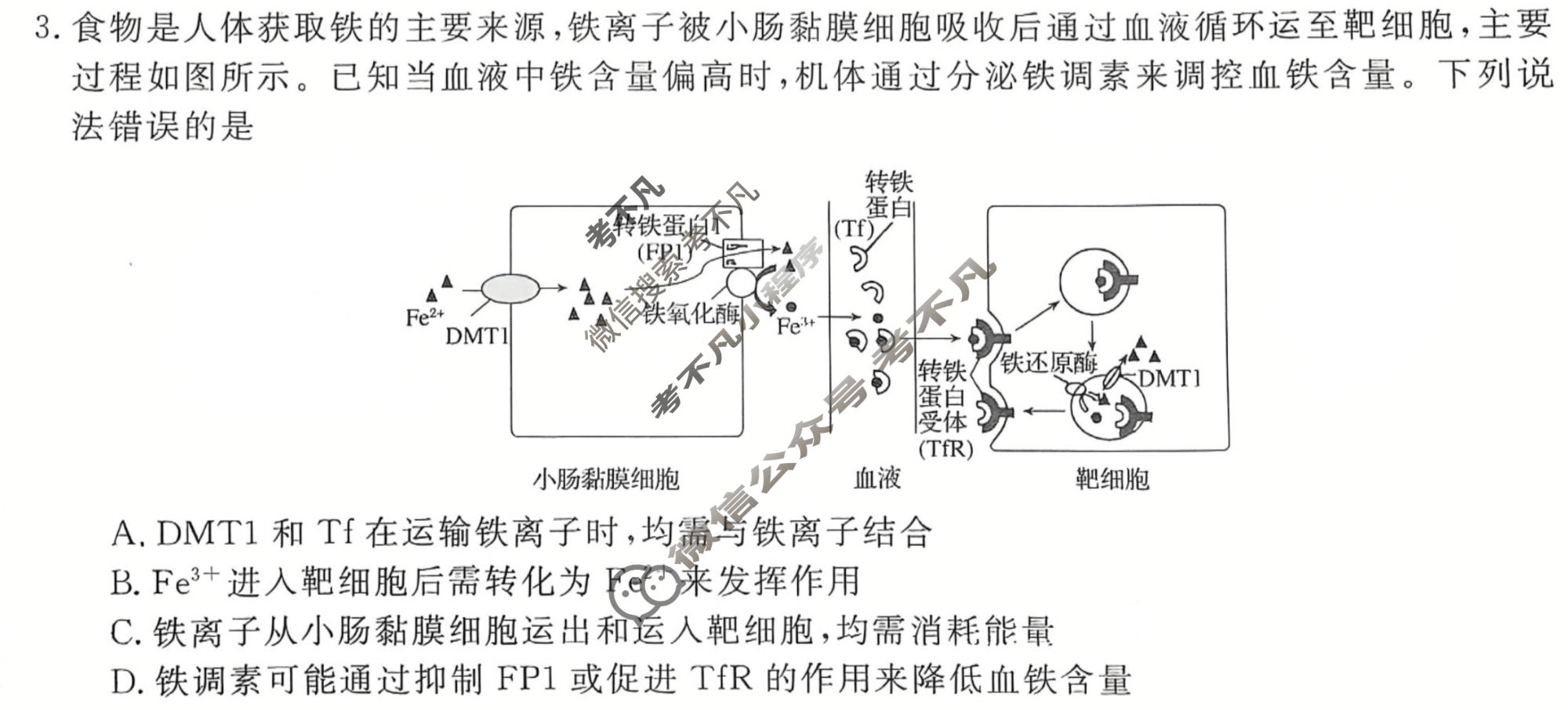 高三2026普通高中学业水平选择性考试·冲刺压轴卷(一)1生物试题