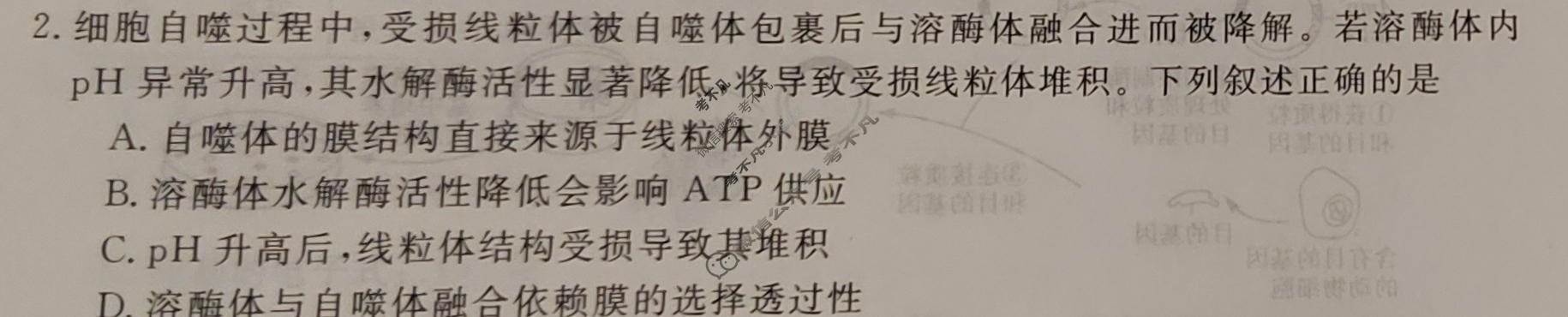 高三2026年普通高校招生考试冲刺压轴卷(二)2生物E答案