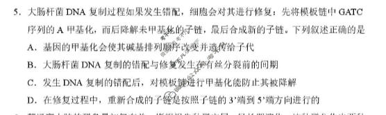 东北三省2026年高三年级模拟考试(3月)生物试题