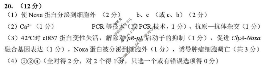 厦门市2026届高中毕业班模拟测试(3月)生物答案