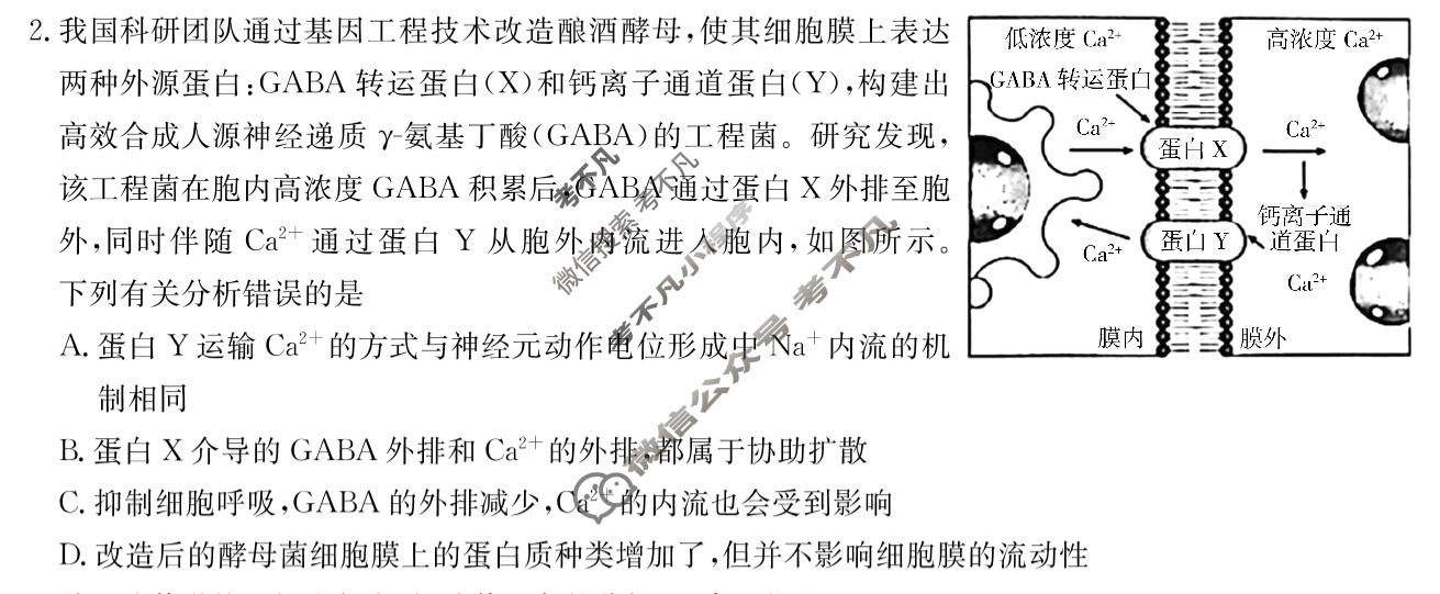 炎德英才大联考(H8)雅礼中学2026届高三月考试卷(八)8生物试题