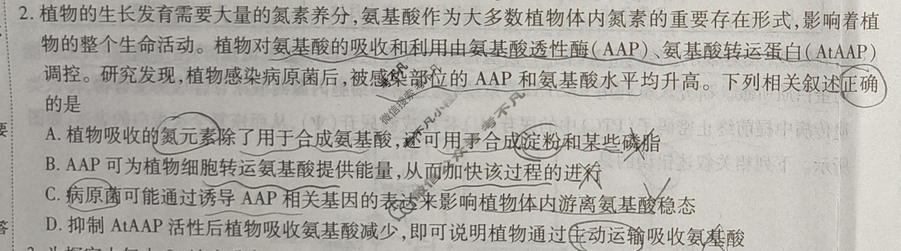 [天一大联考]高三2026届高考全真模拟卷(六)6生物(专版)试题