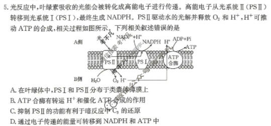 黑吉辽蒙四省金太阳2026届高三考试4月联考(HJLM)生物试题