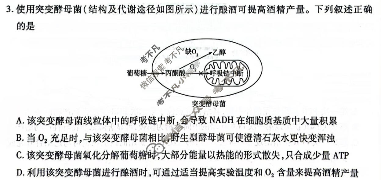 [天一大联考]陕西省2025-2026学年高三联考(SHAX202604)生物试题
