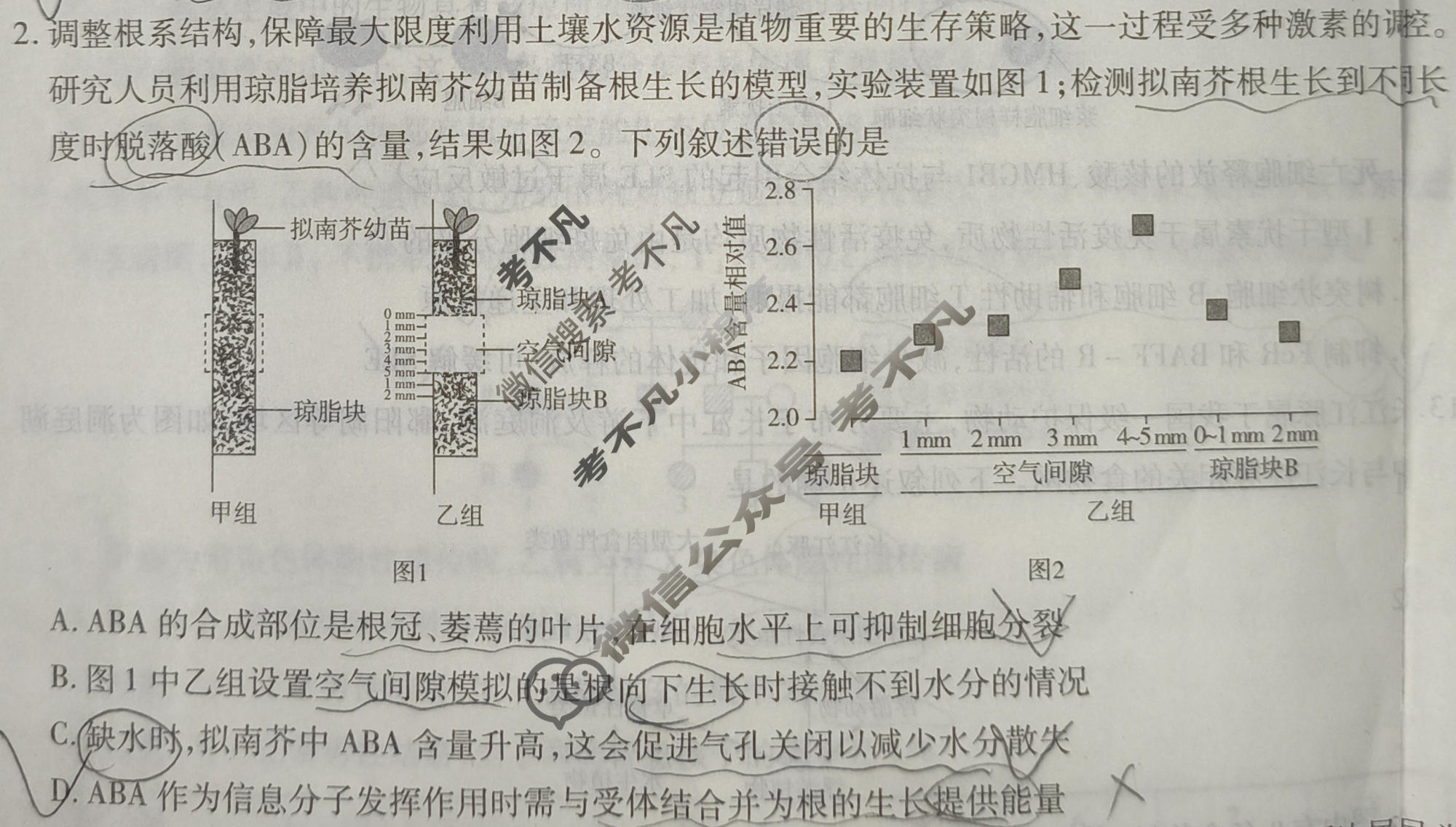 [天一大联考]高三2026届高考全真模拟卷(四)4生物(专版)试题