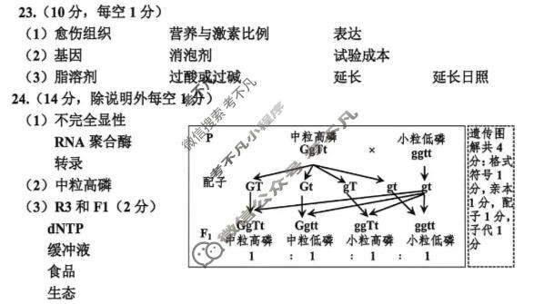 嘉兴市2026年高三教学测试(2026.04)生物答案
