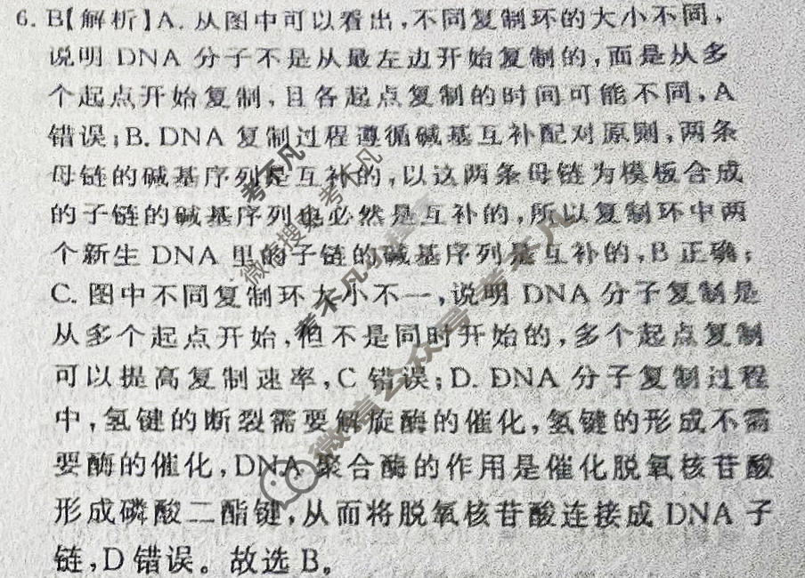 高三2026年高考总复习课堂测评·JKT·模拟信息冲刺训练(七)生物答案