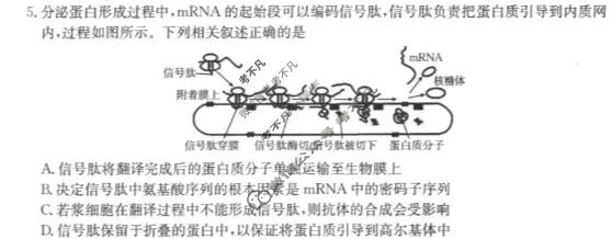 陕西省金太阳2026届高三考试4月联考(4.7)生物试题