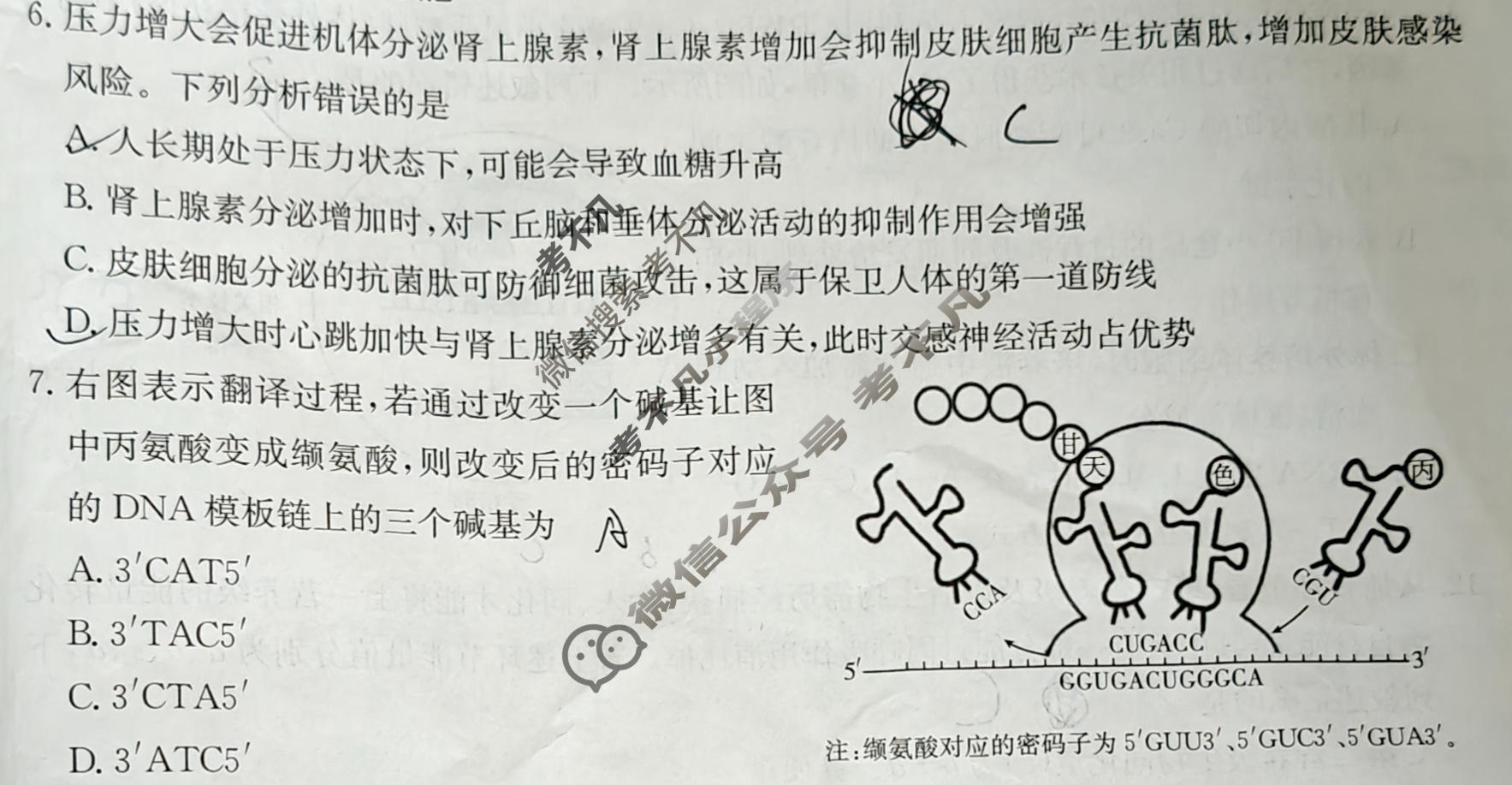 2026年广东省普通高中学业水平选择性考试高考模拟示范卷·生物学(一)1[26·(新高考)ZX·MNJ·生物学·G DONG ]试题