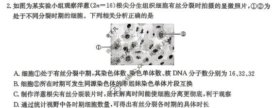炎德英才大联考(长郡版)长郡中学2026届高三月考试卷(4月)生物试题