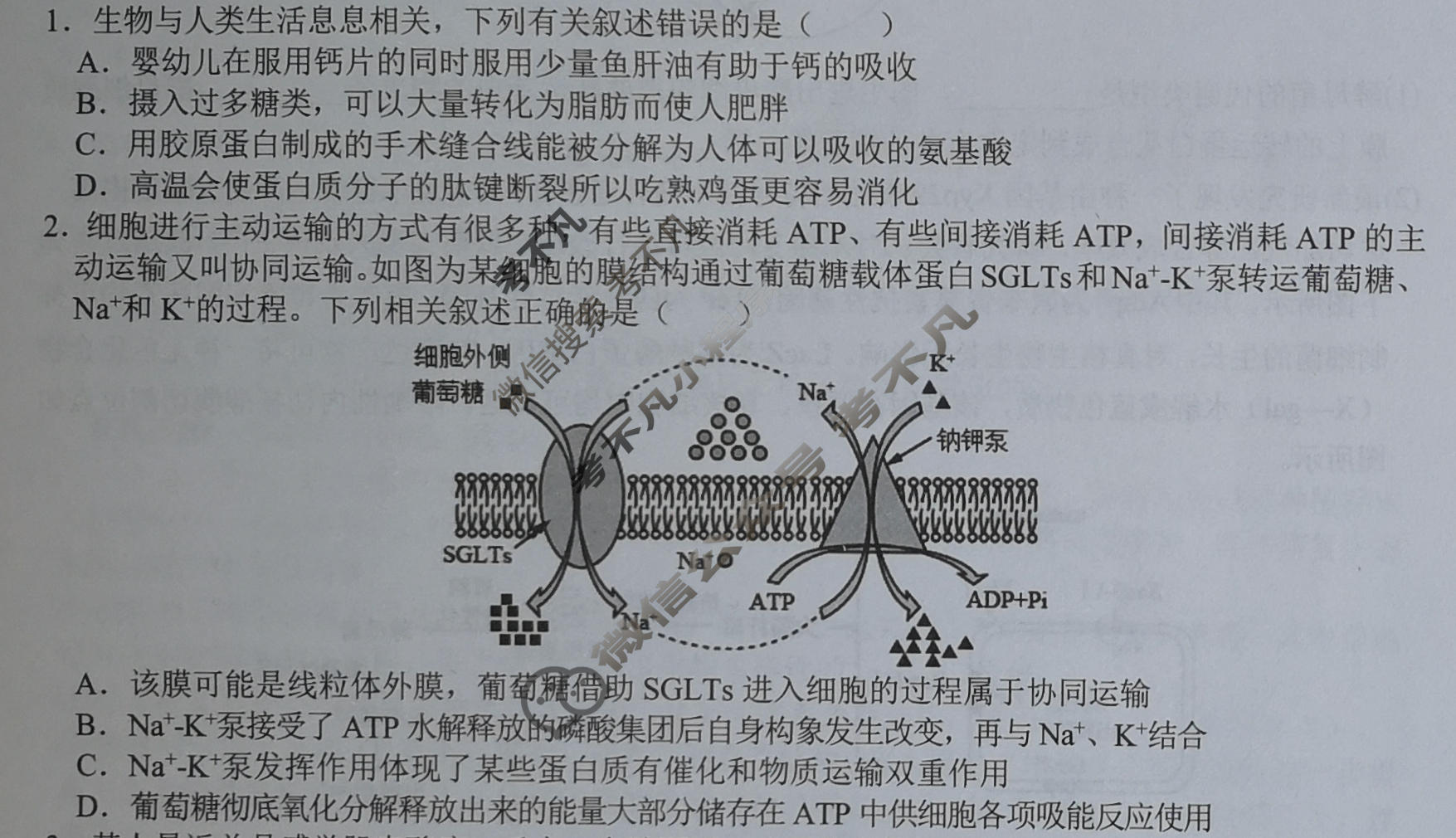 宜春市2026年高三模拟考试生物试题