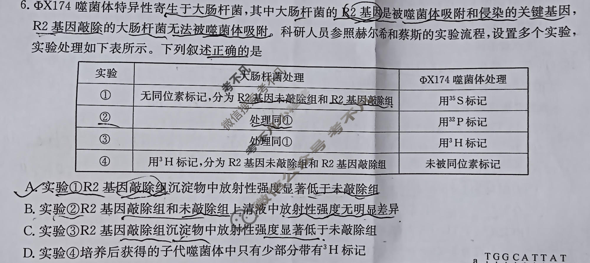[九师联盟]2026届高三4月学业评估生物LY试题