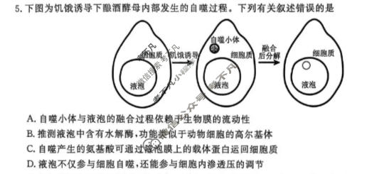 [辽宁名校联盟]2025-2026学年高三下学期4月联考生物试题