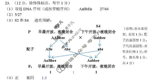 2025学年第二学期杭州市高三教学质量检测(4月)生物答案